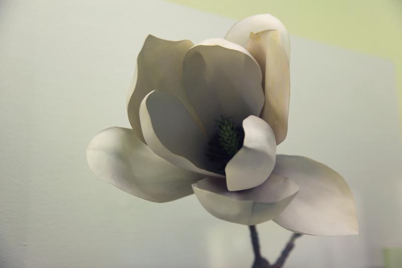 Fra serien Botanische Modelle 2016. foto