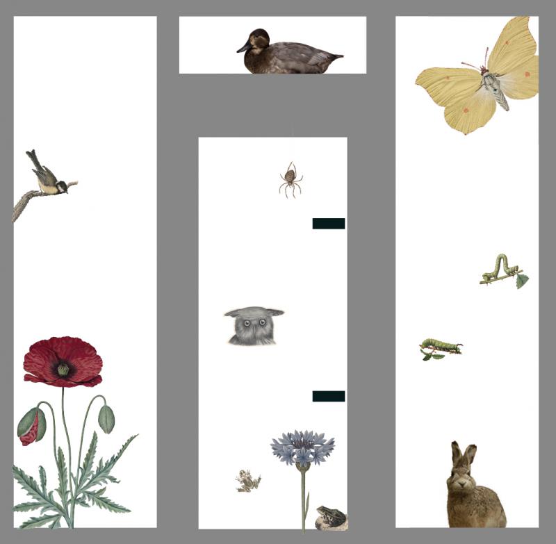 FLORA og FAUNA Skitse til udsmykning 2019 v/ HUMAN SITES Sohn+Isaksen FLORA og FAUNA Skitse til udsmykning 2019 v/ HUMAN SITES Sohn+Isaksen