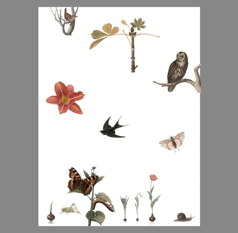 FLORA og FAUNA Skitse til udsmykning 2019 v/ HUMAN SITES Sohn+Isaksen