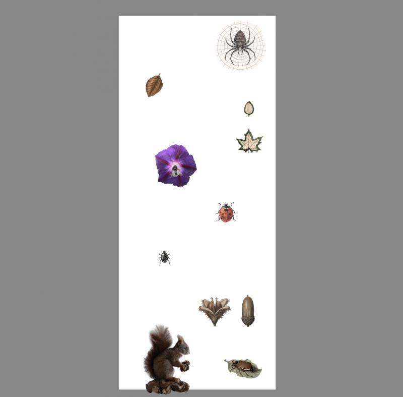 FLORA og FAUNA Skitse til udsmykning 2019 v/ HUMAN SITES Sohn+Isaksen