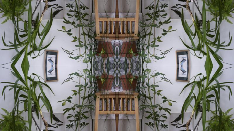 Flower! Power of Dreams. Invitation 2014, Galleri IMAGE