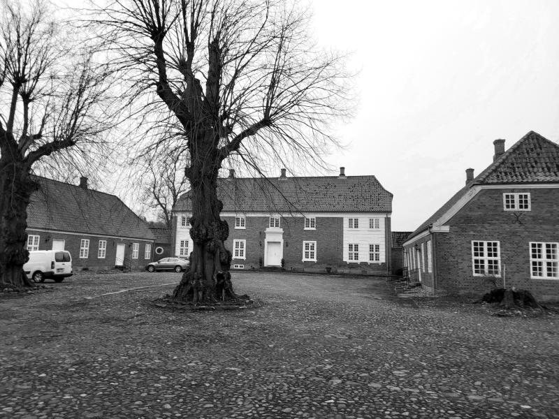 Majestætisk. Foto 2025