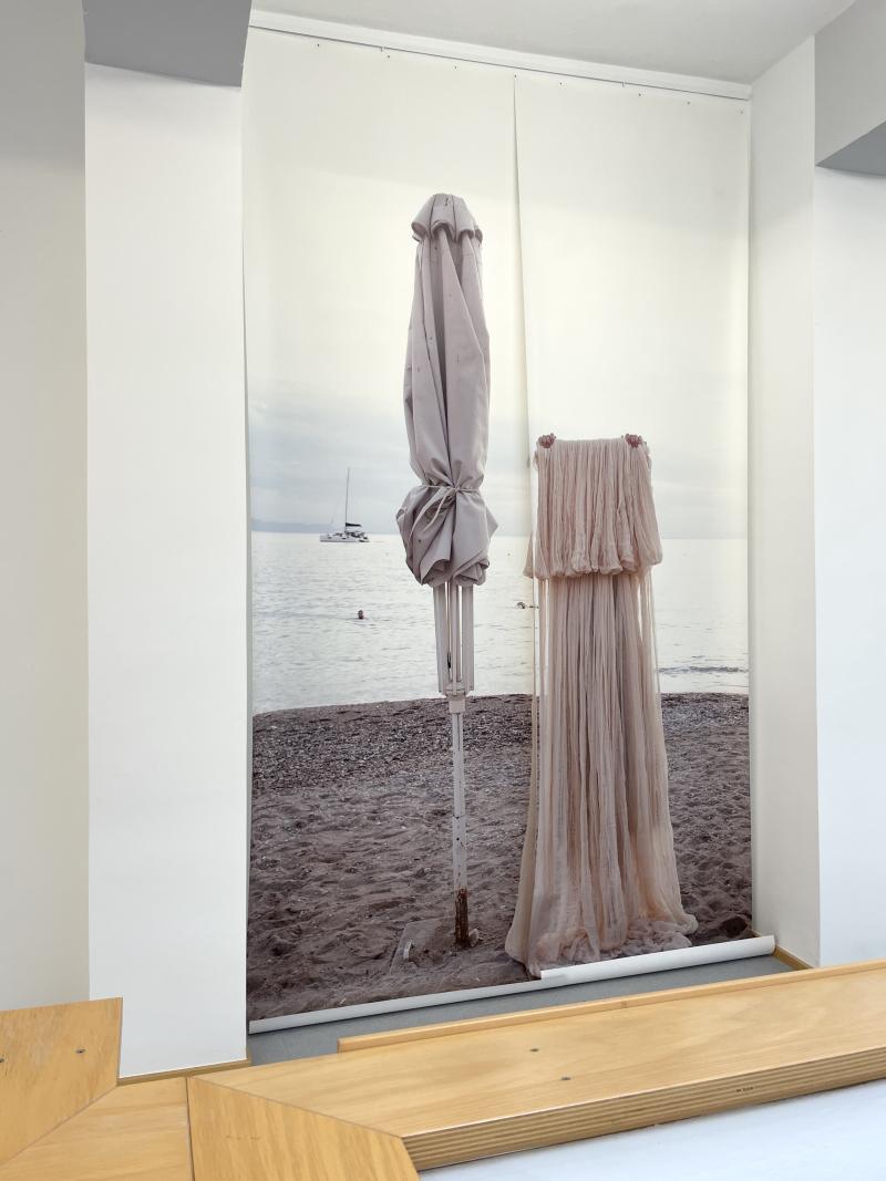 Chiton. Xammlung, KiZ 2025