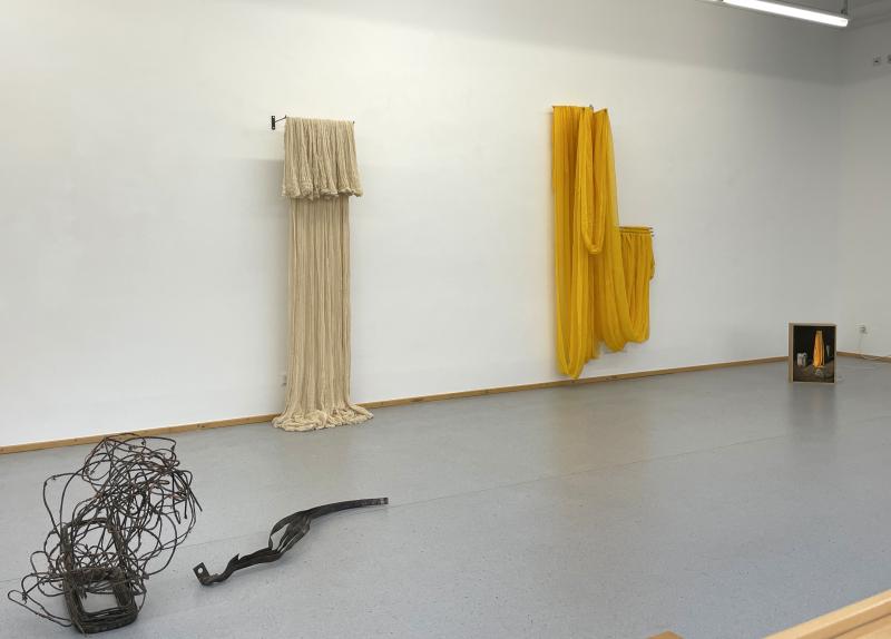 Bagerst: 2 stk. Chiton og foto af Chiton i lyskasse. Xammlung. KiZ 2025