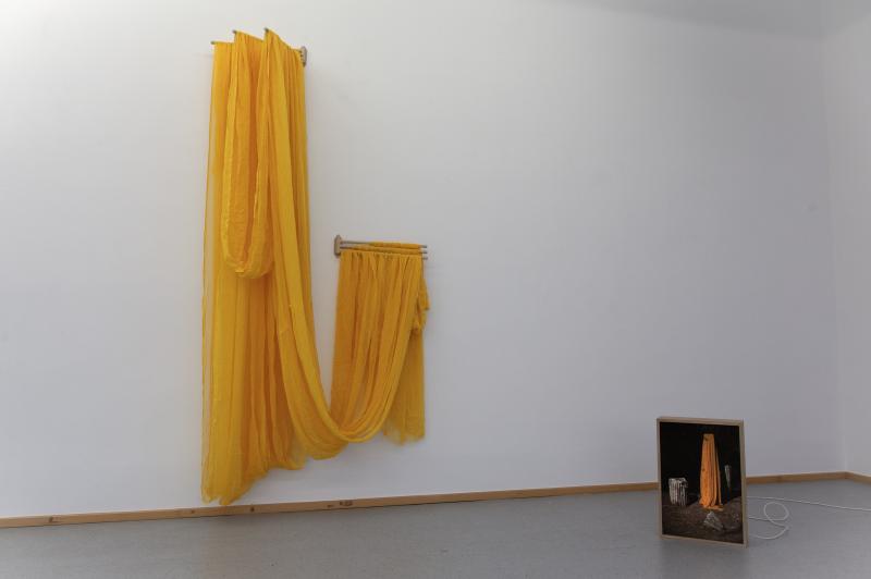 Chiton. Xammlung, KiZ 2025