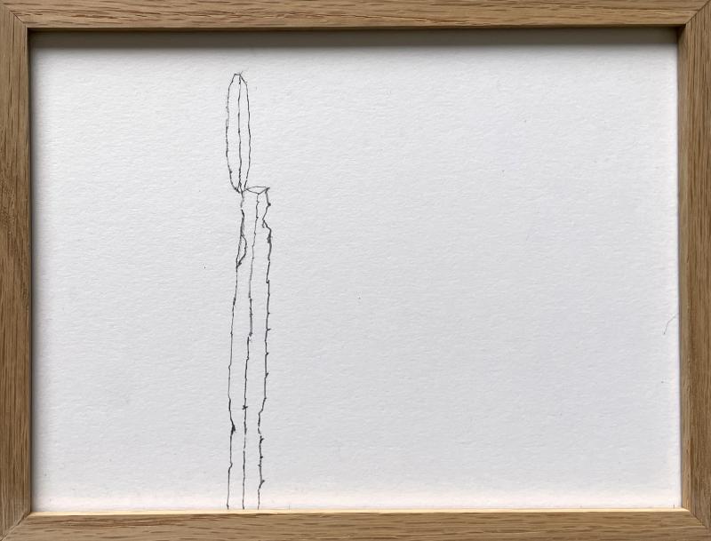 CACTI 2026 blyantstegning