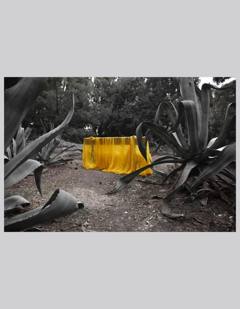Chiton. Foto. Athen 2024