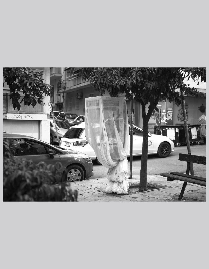 Chiton. Foto. Athen 2024