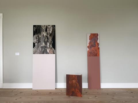 MAJESTÆTISK. 2025, foto og olie på lærred