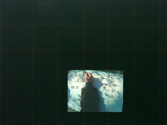 He Loves This Spot 3, olie og fototransfher på lærred, 65x80cm, 2007